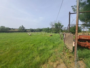 Quinta T11 para Venda em Beja (Salvador e Santa Maria da Feira)