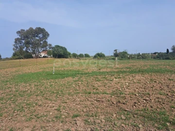 Quinta T11 para Venda em Beja (Salvador e Santa Maria da Feira)