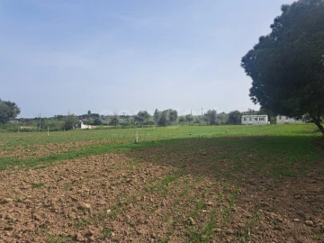 Quinta T11 para Venda em Beja (Salvador e Santa Maria da Feira)