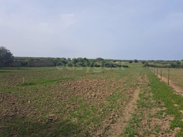 Quinta T11 para Venda em Beja (Salvador e Santa Maria da Feira)
