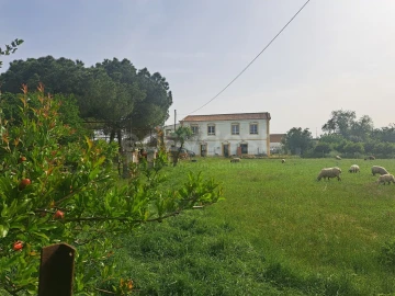 Quinta T11 para Venda em Beja (Salvador e Santa Maria da Feira)