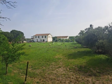 Quinta T11 para Venda em Beja (Salvador e Santa Maria da Feira)