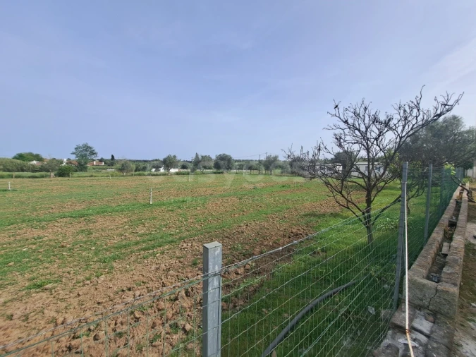 Quinta T11 para Venda em Beja (Salvador e Santa Maria da Feira) Foto 17