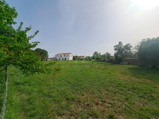 Quinta T11 para Venda em Beja (Salvador e Santa Maria da Feira) Foto 30