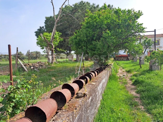 Quinta T11 para Venda em Beja (Salvador e Santa Maria da Feira) Foto 40