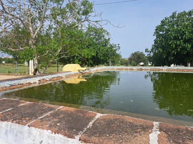 Quinta T11 para Venda em Beja (Salvador e Santa Maria da Feira) Foto 41