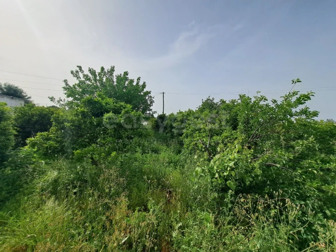 Quinta T11 para Venda em Beja (Salvador e Santa Maria da Feira) Foto 43