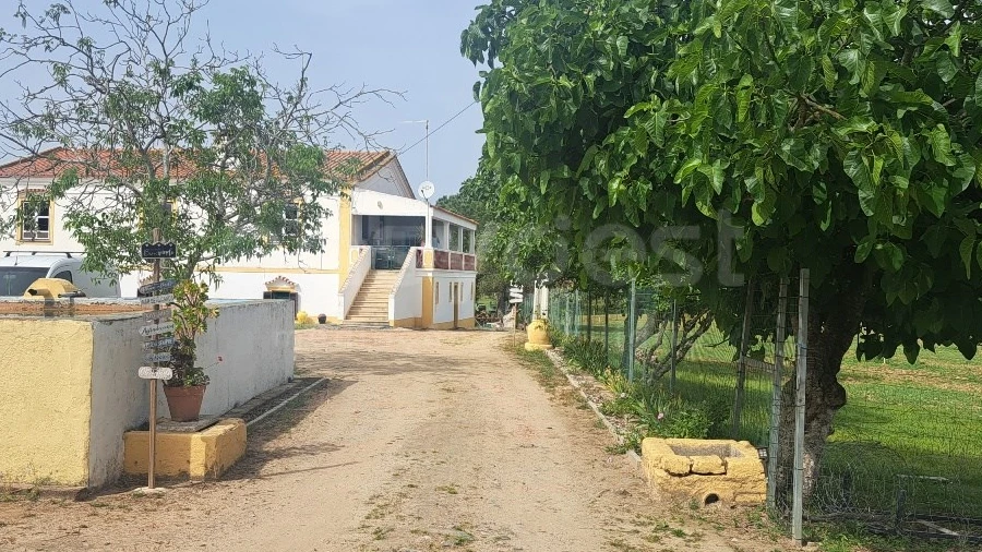 Quinta T11 para Venda em Beja (Salvador e Santa Maria da Feira)