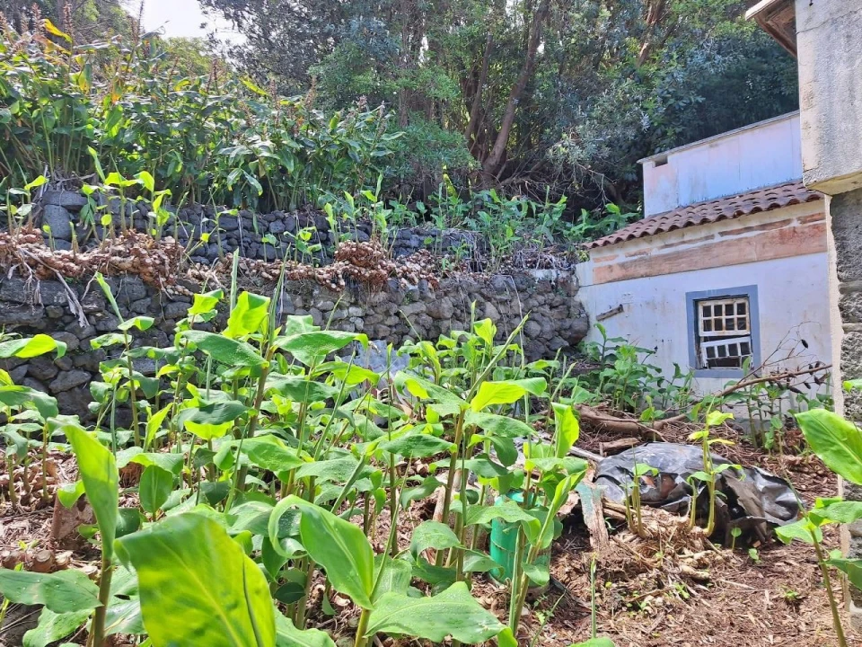 Moradia T2 para Venda em São Roque do Pico Foto 12