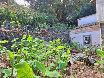 Moradia T2 para Venda em São Roque do Pico