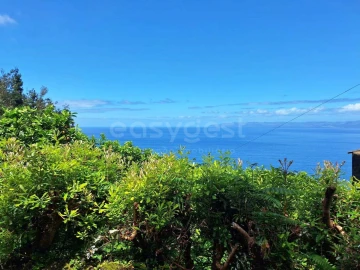 Moradia T2 para Venda em São Roque do Pico