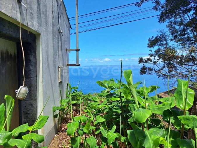 Moradia T2 para Venda em São Roque do Pico Foto 3