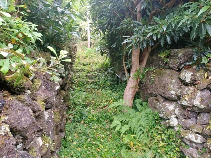 Moradia T2 para Venda em São Roque do Pico Foto 9