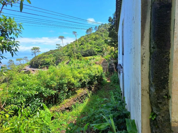Moradia T2 para Venda em São Roque do Pico Foto 10