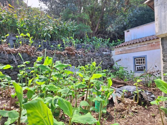 Moradia T2 para Venda em São Roque do Pico Foto 12