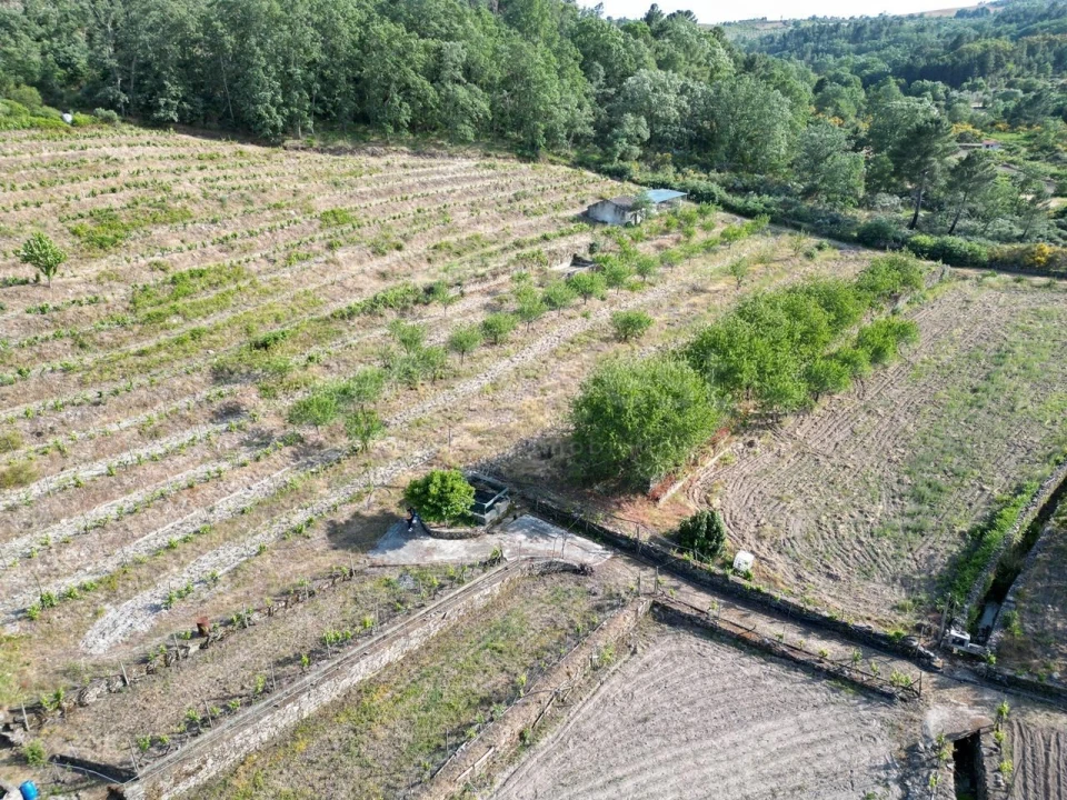 Terreno Agricola ou Rústico para Venda em Carviçais Foto 8