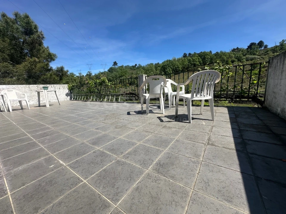 Terreno Agricola ou Rústico para Venda em Carviçais Foto 16