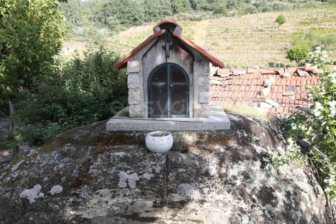 Terreno Agricola ou Rústico para Venda em Carviçais Foto 18
