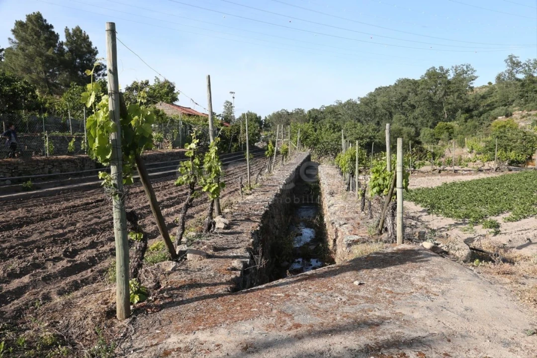 Terreno Agricola ou Rústico para Venda em Carviçais Foto 24