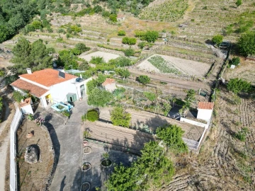Terreno Agricola ou Rústico para Venda em Carviçais