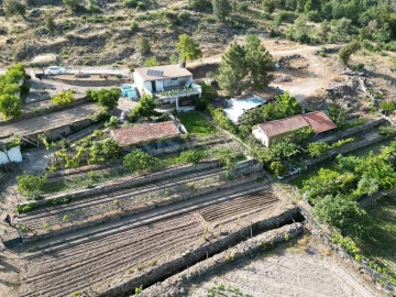 Terreno Agricola ou Rústico para Venda em Carviçais