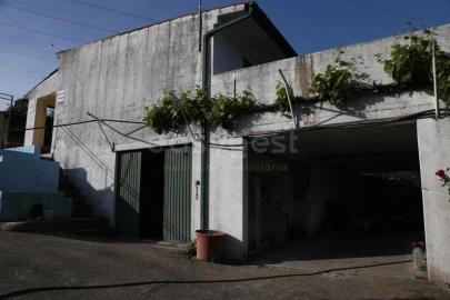 Terreno Agricola ou Rústico para Venda em Carviçais