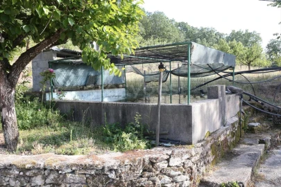 Terreno Agricola ou Rústico para Venda em Carviçais