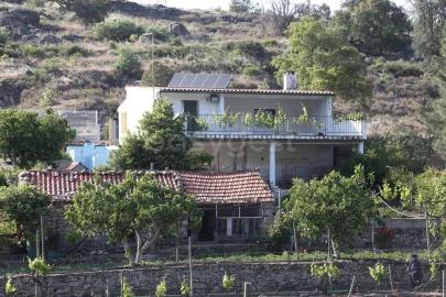 Terreno Agricola ou Rústico para Venda em Carviçais
