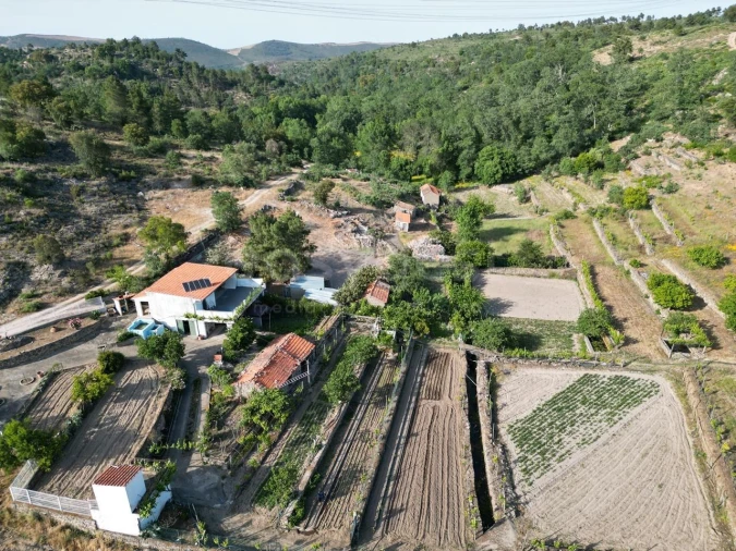 Terreno Agricola ou Rústico para Venda em Carviçais Foto 5