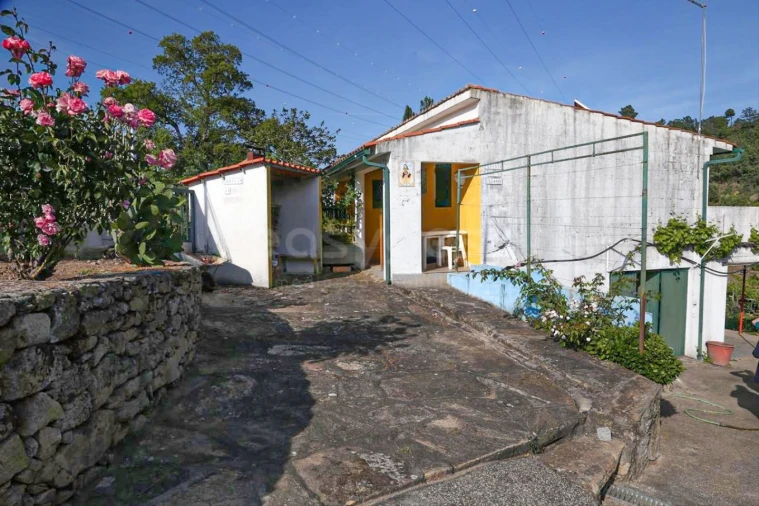 Terreno Agricola ou Rústico para Venda em Carviçais Foto 9
