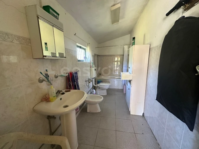 Terreno Agricola ou Rústico para Venda em Carviçais Foto 12