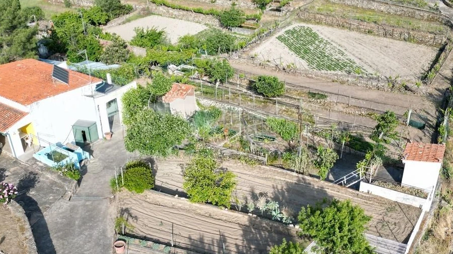 Terreno Agricola ou Rústico para Venda em Carviçais