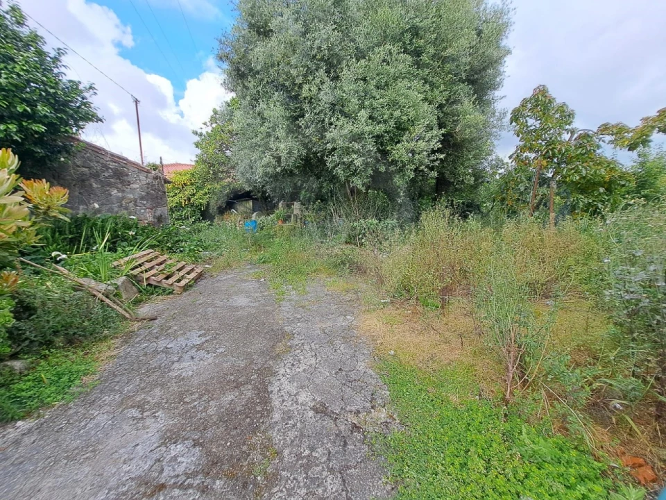 Terreno para Venda em Junqueira Foto 4