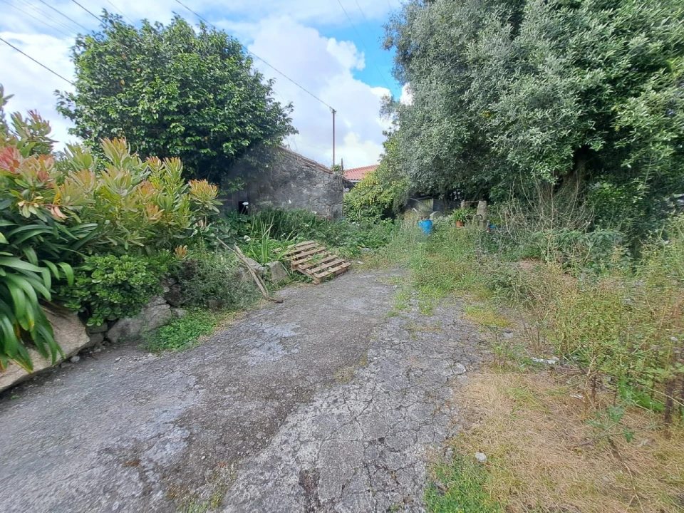 Terreno para Venda em Junqueira Foto 14