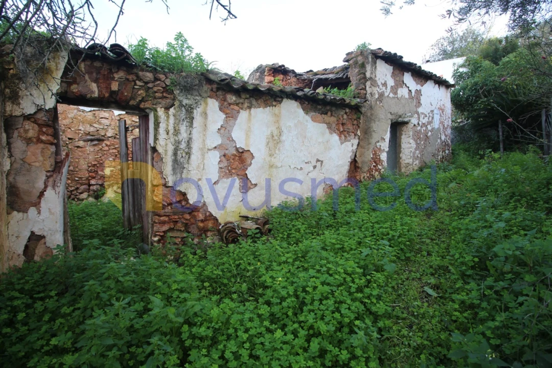 Moradia T1 para Venda em Alte Foto 10