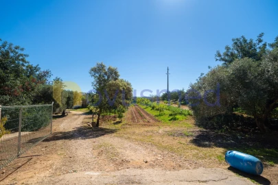 Quinta T5 para Venda em Paderne