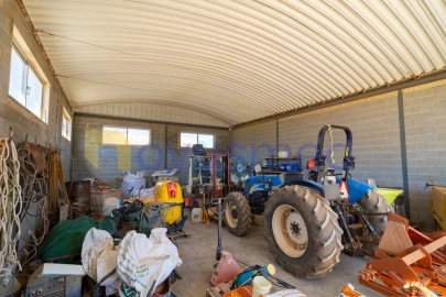 Quinta T5 para Venda em Paderne