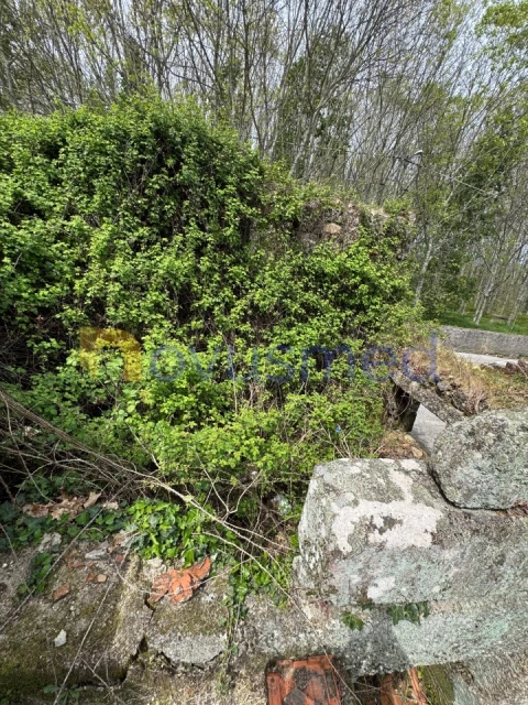 Terreno para Venda em Lobão da Beira