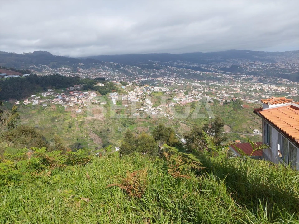 Terreno para Venda em Camara de Lobos Foto 14