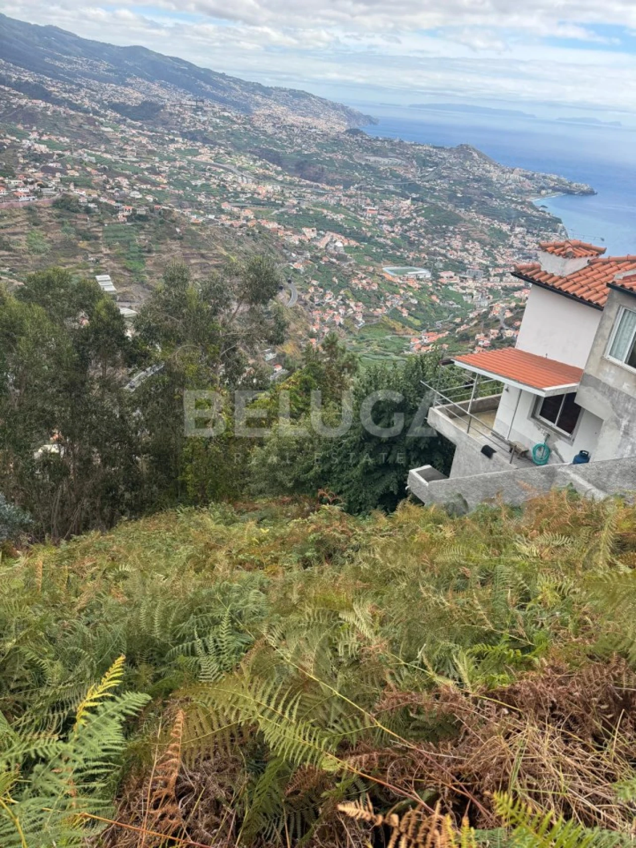 Terreno para Venda em Camara de Lobos Foto 1