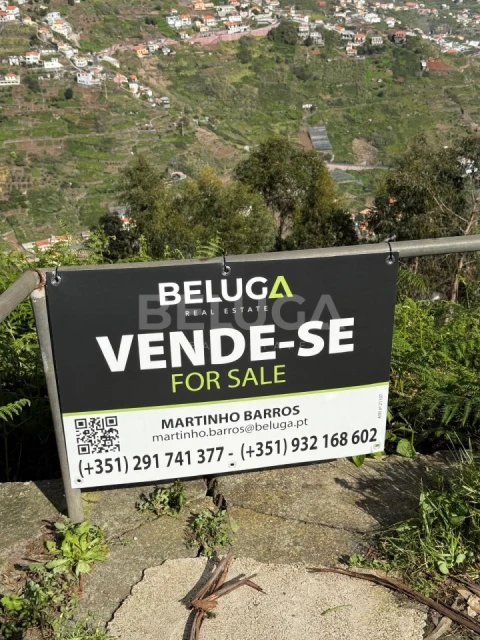 Terreno para Venda em Camara de Lobos