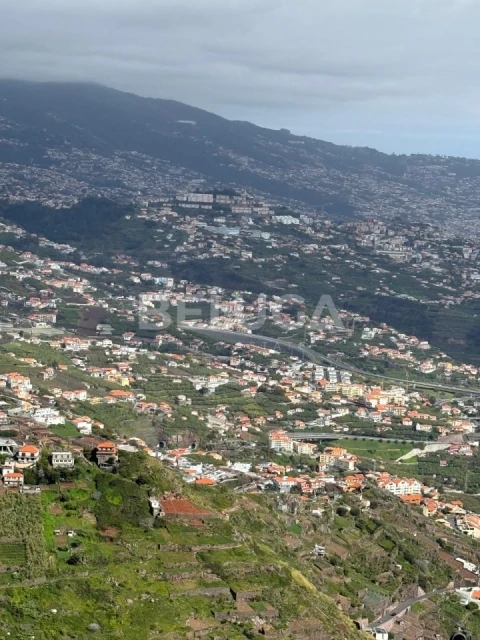 Terreno para Venda em Camara de Lobos