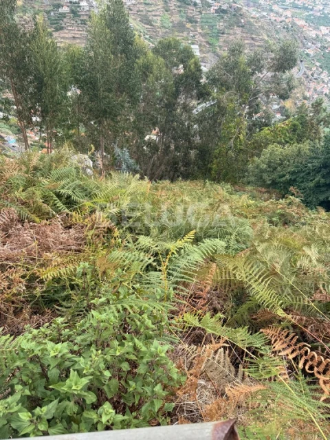 Terreno para Venda em Camara de Lobos
