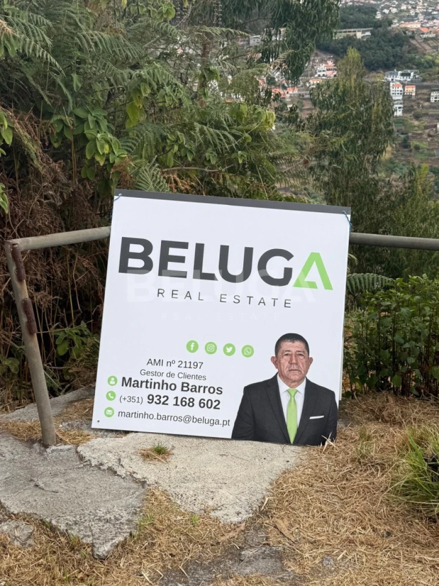Terreno para Venda em Camara de Lobos Foto 3