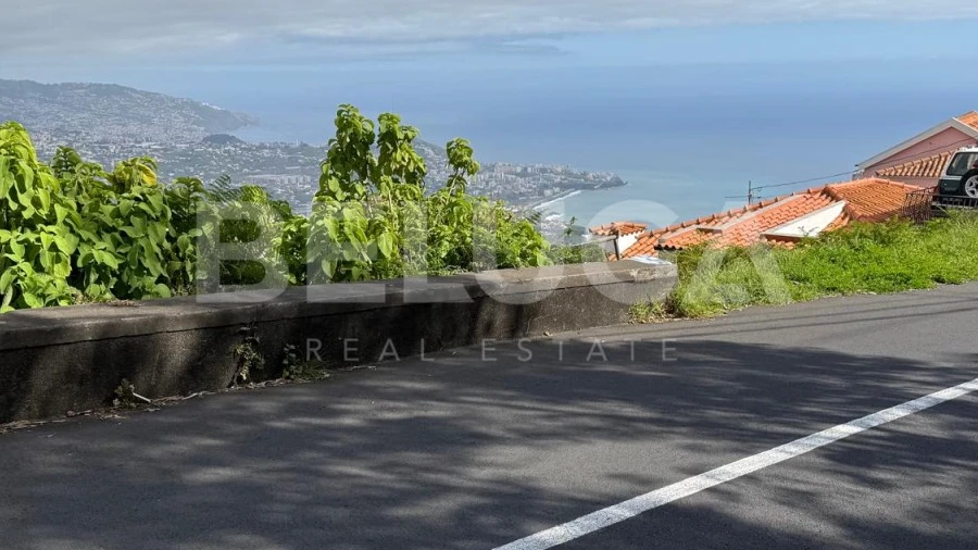 Terreno para Venda em Camara de Lobos