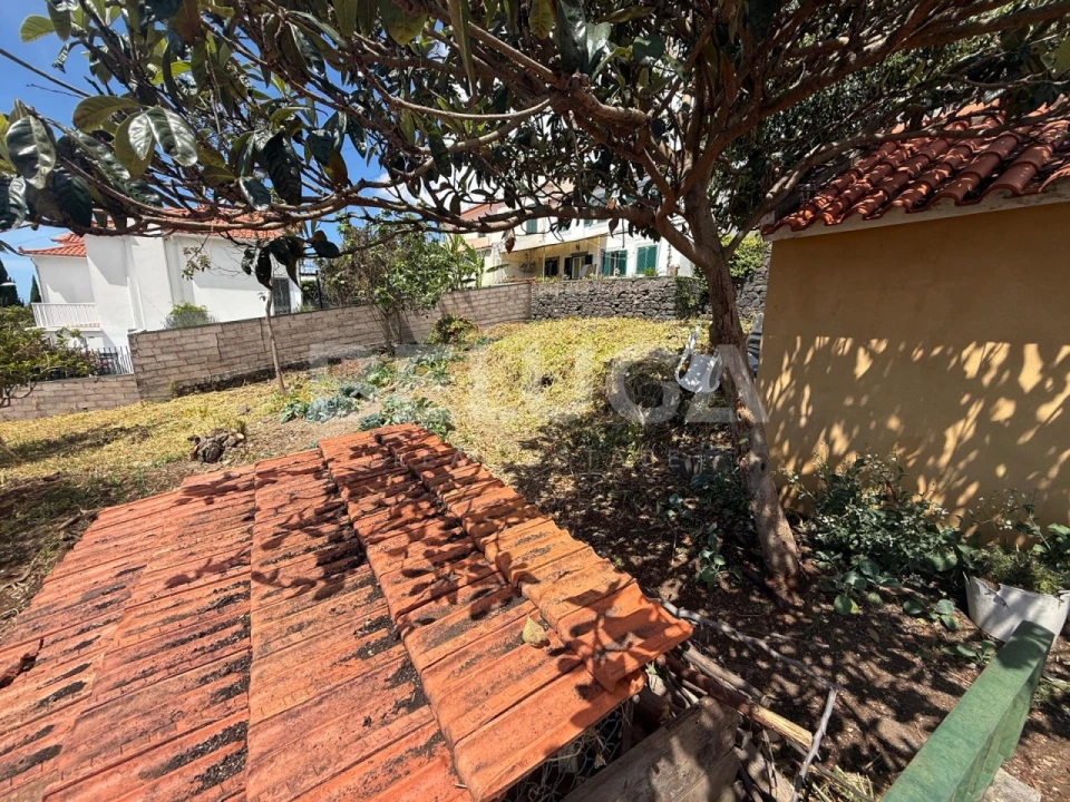 Moradia T3 para Venda em Monte Foto 9
