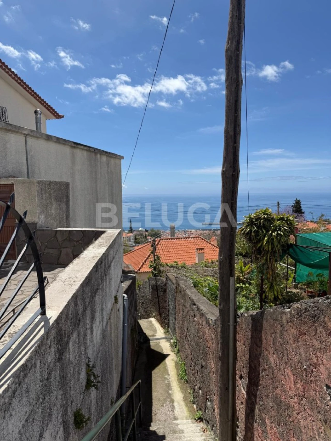 Moradia T3 para Venda em Monte Foto 31
