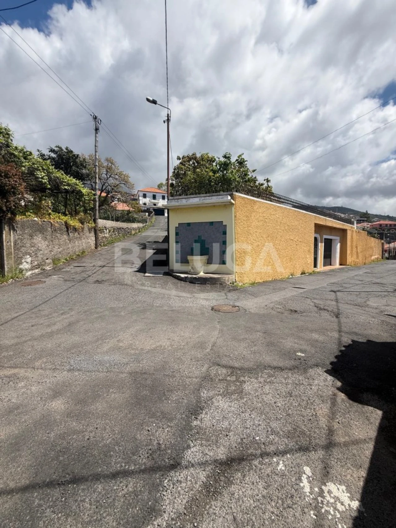 Moradia T3 para Venda em Monte Foto 36