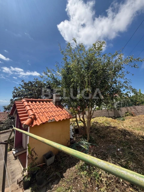 Moradia T3 para Venda em Monte