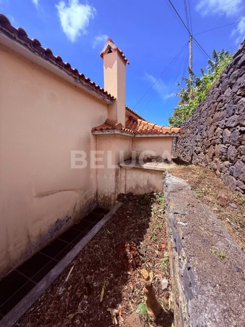 Moradia T3 para Venda em Monte